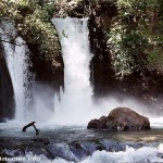 The Sons of Korah may have written Psalm 42 by these waterfalls