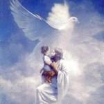 A Secret Safe Place for You