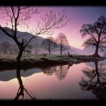 We long for God's peace